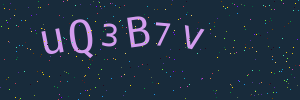 Validation image