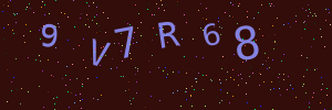 Validation image
