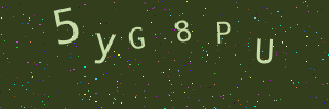Validation image