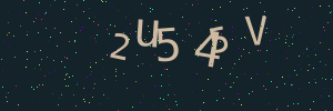 Validation image