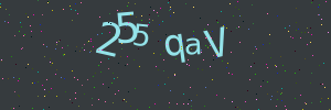 Validation image